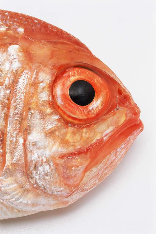 魚,水產,魚類,海洋生物,木制品,攝影,影棚,大馬哈魚,水生動物,海產品