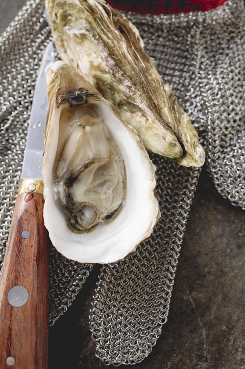 防護,牡蠣,水產,海洋生物,木制品,手套,刀,保護,生蠔,水生動物,海產品