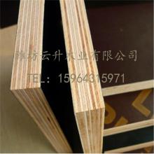 費縣高盛木制品廠