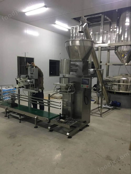 硅土粉25kg粉劑定量包裝機工廠生產